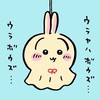 吉友交易交流群