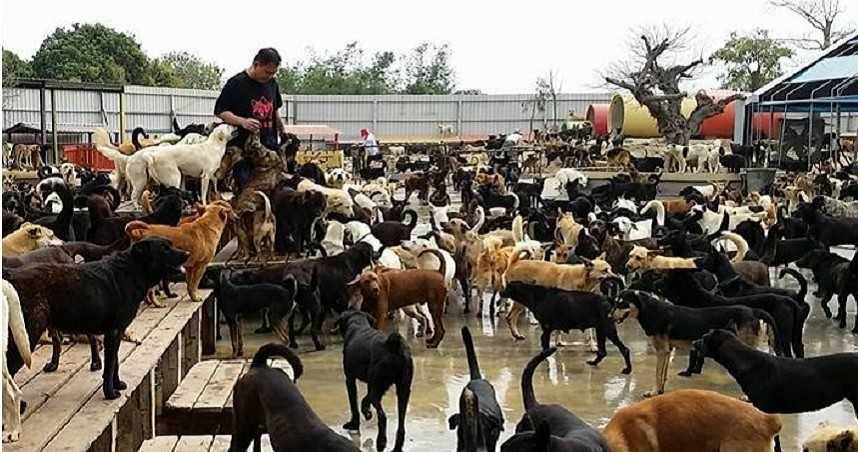 Re: [問題] 開設無黑道背景的流浪狗園，女生支持嗎？