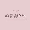 110資圖系-A班