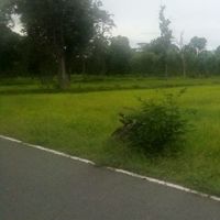 ซื้อขายที่ดิน สุรินทร์