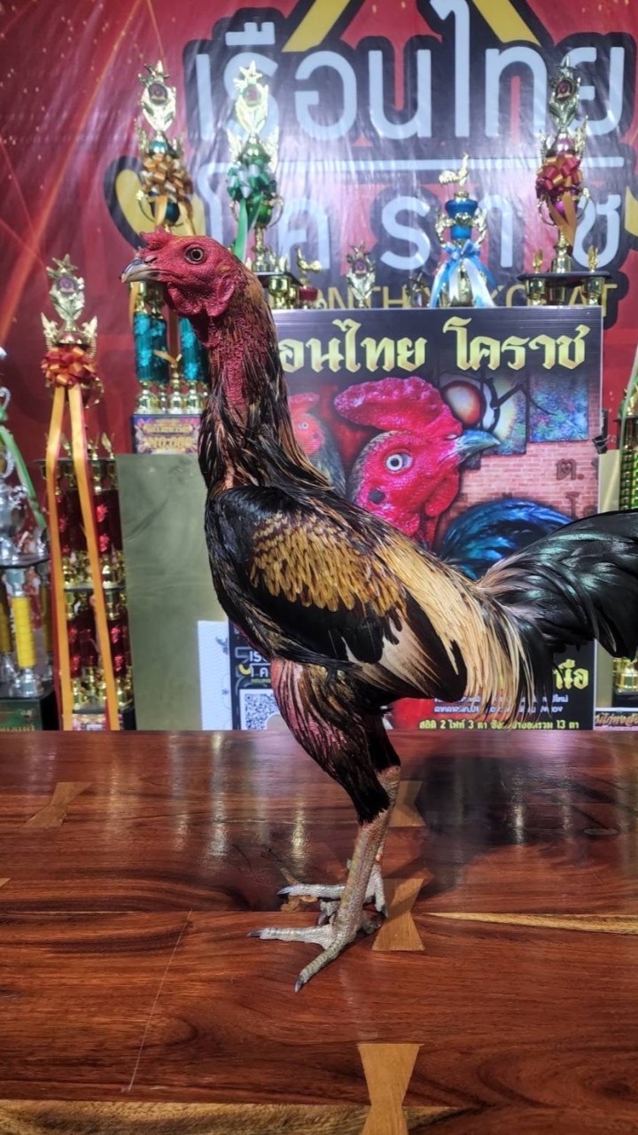 ไกรทอง ฐิติกันต์