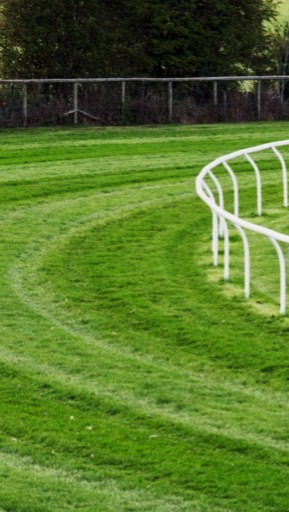 オラオラしゃこるツモフハハ競馬場のオープンチャット