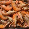 🦐桃園不公開買賣蝦群🦐