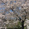 日韓選物研究室🌸4/7福岡出發 一路連線到大阪 4/7–4/11 福岡｜4/11–4/20 大阪