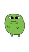 マエスケファン集合