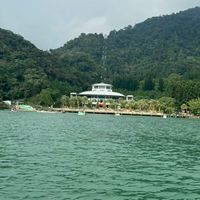 花舞中的花舞