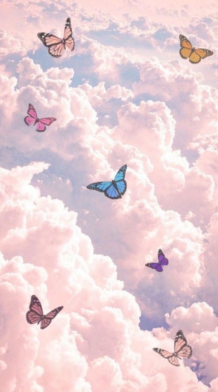 𝐁𝐮𝐭𝐭𝐞𝐫𝐟𝐥𝐲~🦋 ขายโทน