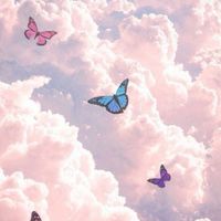 𝐁𝐮𝐭𝐭𝐞𝐫𝐟𝐥𝐲~🦋 ขายโทน