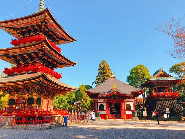 蘇跑旅遊 成田山公園紅葉祭追趕紅葉尾巴 Line Today Line Today