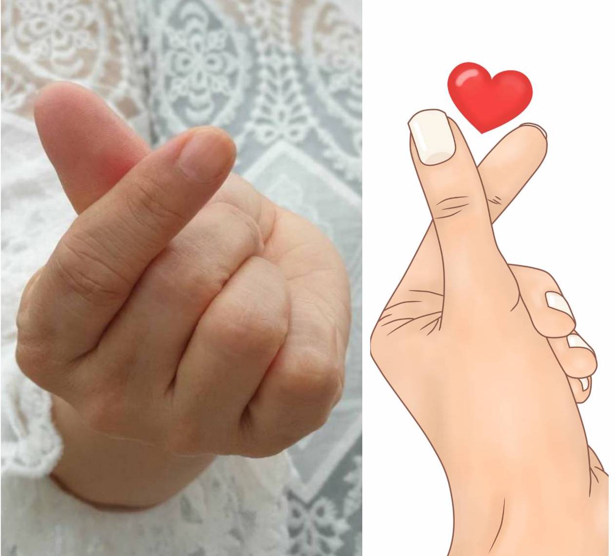 圖片提供/pixabay