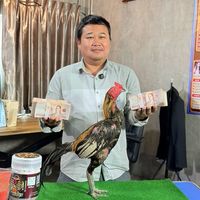 ฝากผสม“เจ้าขุนพยัคฆ์” ซุ้มหมอแบงค์เก้ายอด&พอ หนองจอก