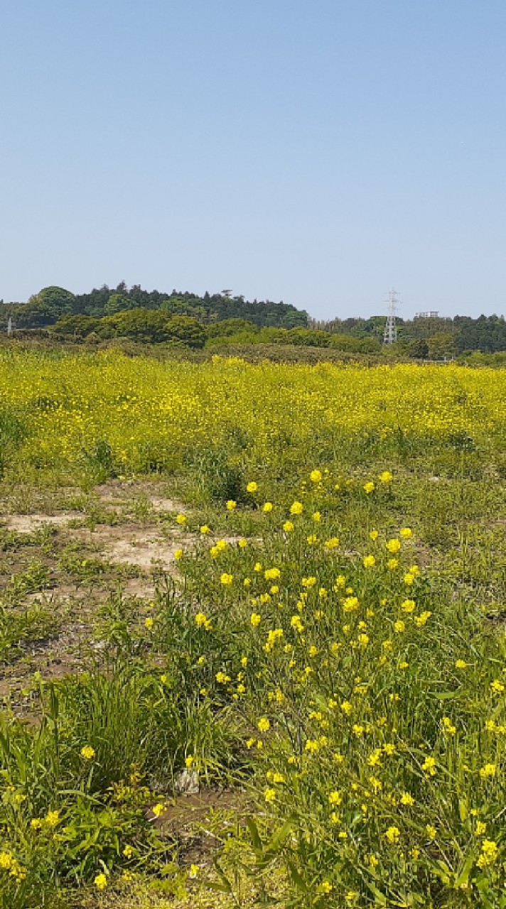 らくやせサロン コアメンバー