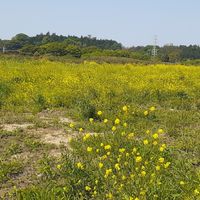 らくやせサロン コアメンバー