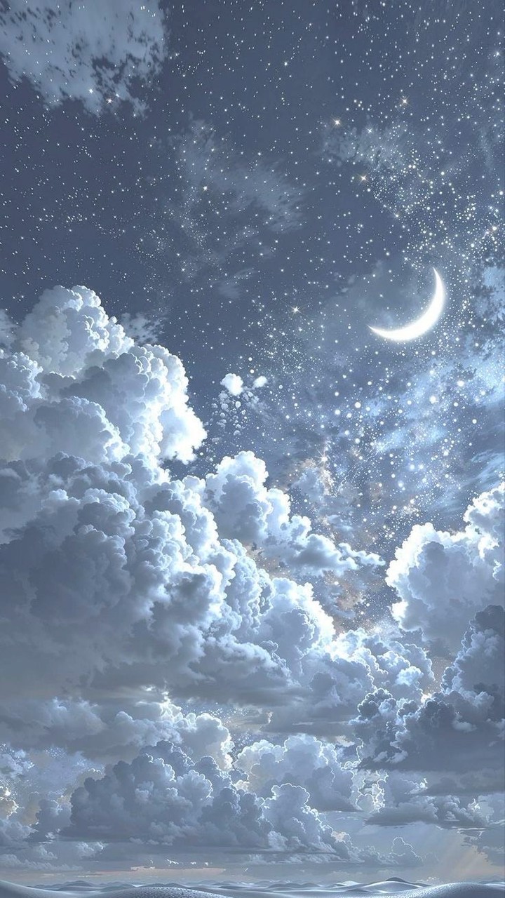 今夜は星が綺麗ですね 。