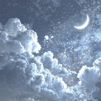 今夜は星が綺麗ですね 。