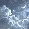 今夜は星が綺麗ですね 。