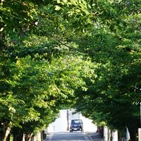 雑談オプ(プロセカ民多め)