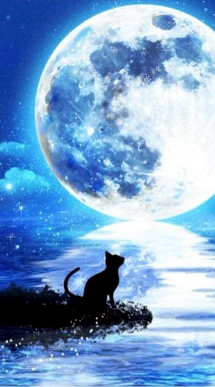 夢見る孤児院(恋愛,メイド,執事〇)(家族ごっこ)