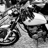 Tokyo neo/classic motorcycle ツーリング倶楽部