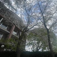 2026年度目白研心中学保護者会