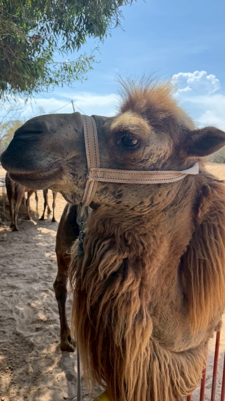 清艙撿便宜✈️☁️