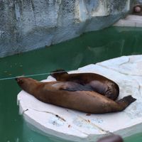 フリーター　休憩所