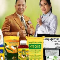 สำนักงานตัวแทน บ.นาย่ากรีน  พิษณุโลก สาขา บางระกำ