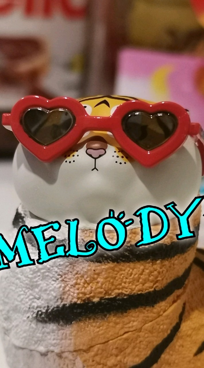 MELODYx​ กล่องจุ่ม📦&โมเดล🧸