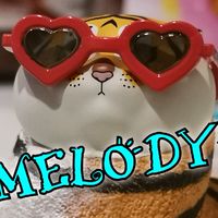 MELODYx​ กล่องจุ่ม📦&โมเดล🧸