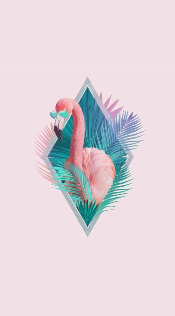 🦩想瘦也可以很享受🦩
