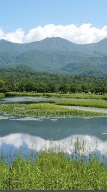 柏市医療公社互助会　知床組