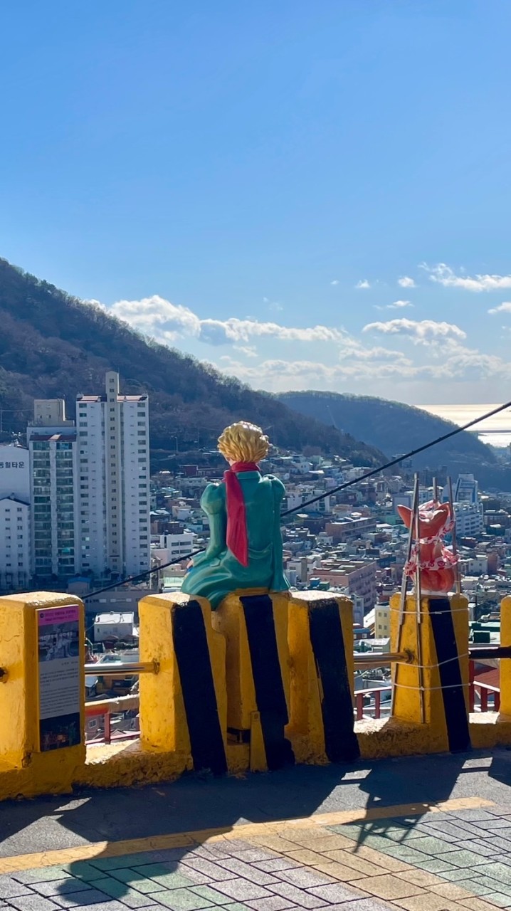 8/14-20🇰🇷