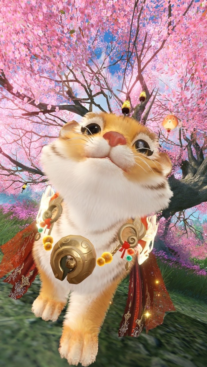 妄月