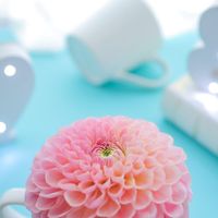 🍮関東大人好きなコト語っちゃお🍮