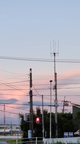 歌オプ