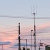 歌オプ