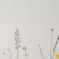 2780生鮮團購𓆝 𓆟 𓆞