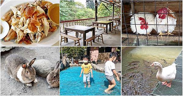 【台北美食】大豐花園餐廳-免門票也可以看到可愛的小動物，隱藏在市區附近的烤雞餐廳【台北美食】大豐花園餐廳-免門票也可以看到可愛的小動物，隱藏在市區附近的烤雞餐廳