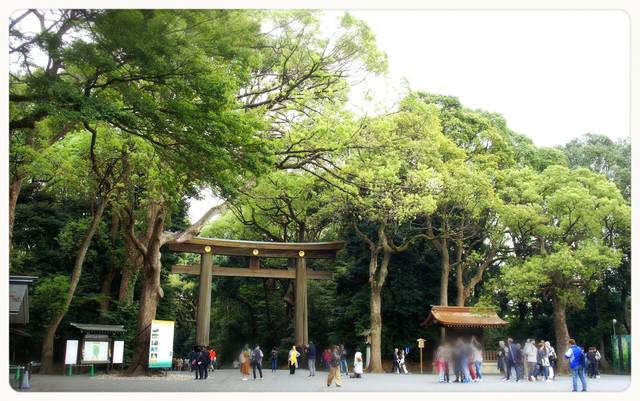 東京深度之旅 沐浴在 明治神宮 的森林芬多精中 順道帶走滿滿的正能量 All About Japan Line Today