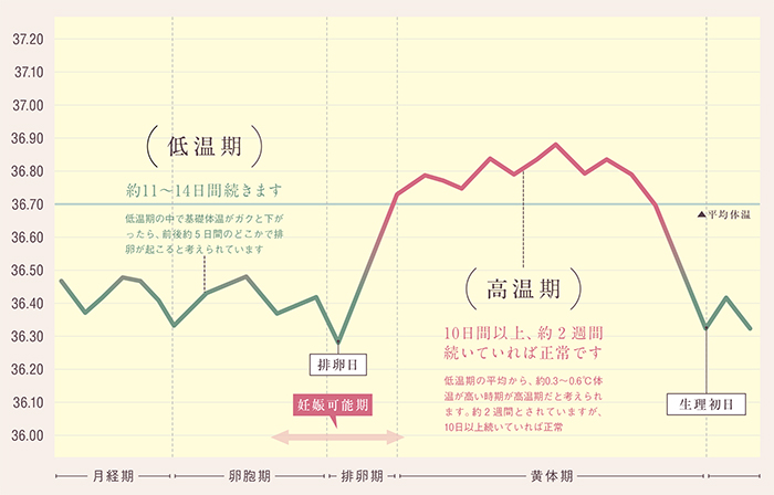 妊活期には不可欠な 基礎体温 要注意パターンは