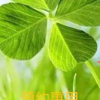 預約four-太乙整復