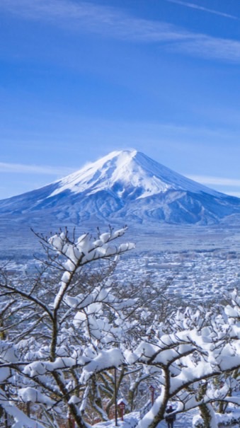 Jp-th 6/12 ส่งของ8/12