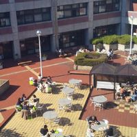 とびだせ！関東学院大学！