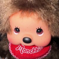 モンチッチが好きな訳でもないけどモンチッチが好きな感じの全緩‼️😉🫣