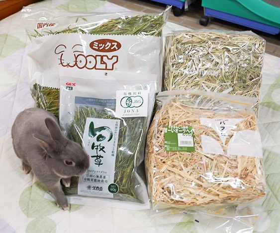 種類がたくさんあるけどオススメは うさぎの主食である牧草について ふうたの飼い主