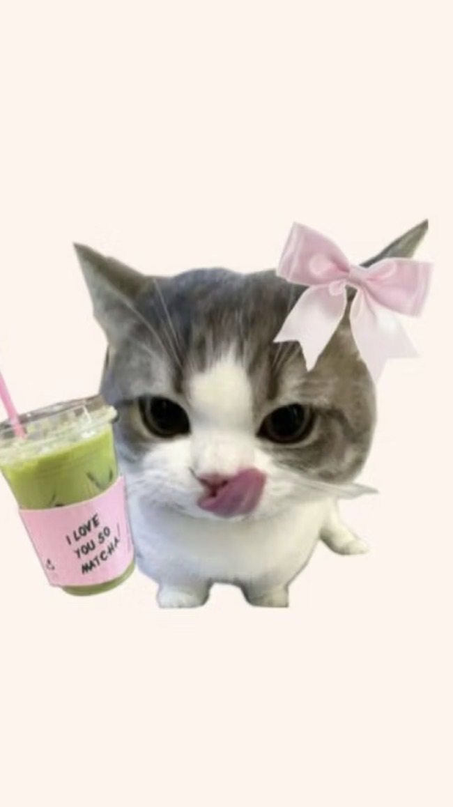 ออมเงินอยู่อย่างccuttyy