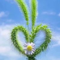 花蓮弘光慈善平台～財團法人佛教弘光功德基金會