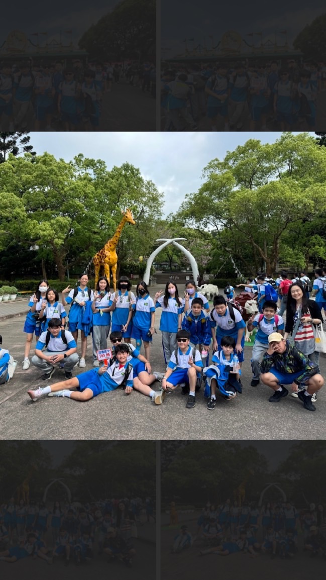 信中709動保處