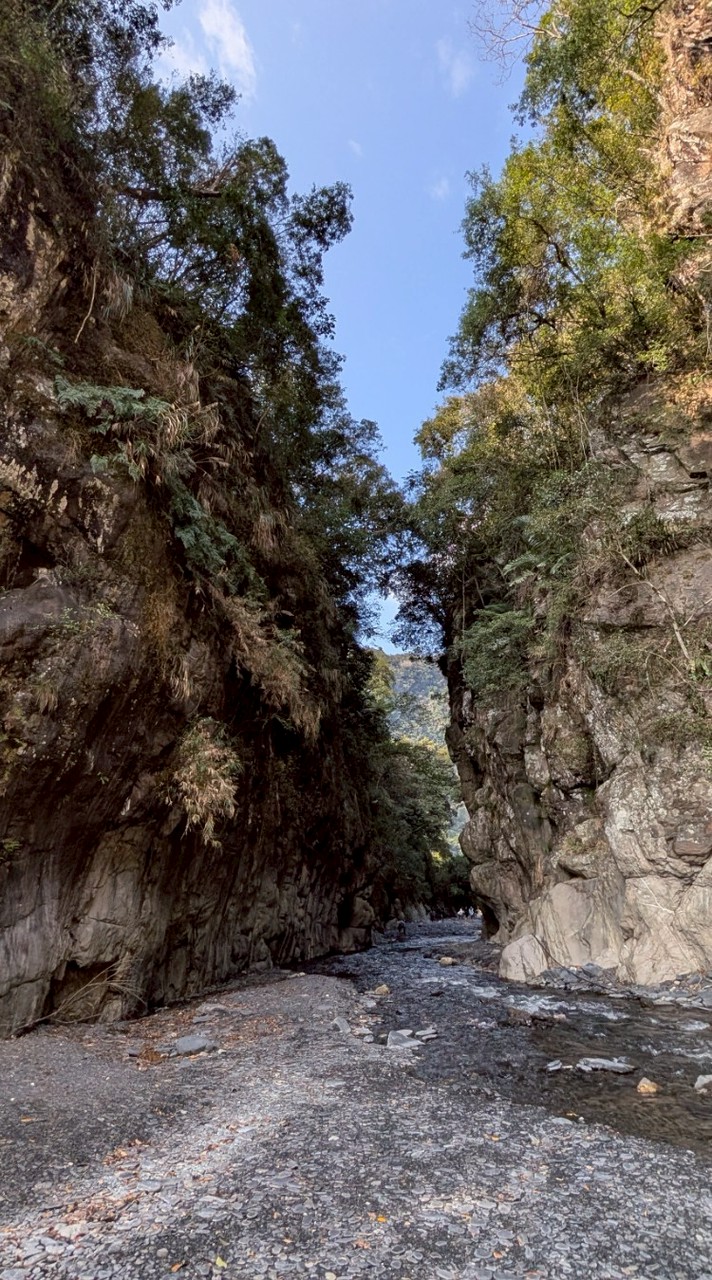 115-01-27武界雲海民宿