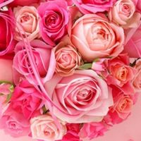 🌹人生✨楽しもう🤣50代〜60代の皆様🩷ゆるりと癒しのお部屋(*´꒳`*)